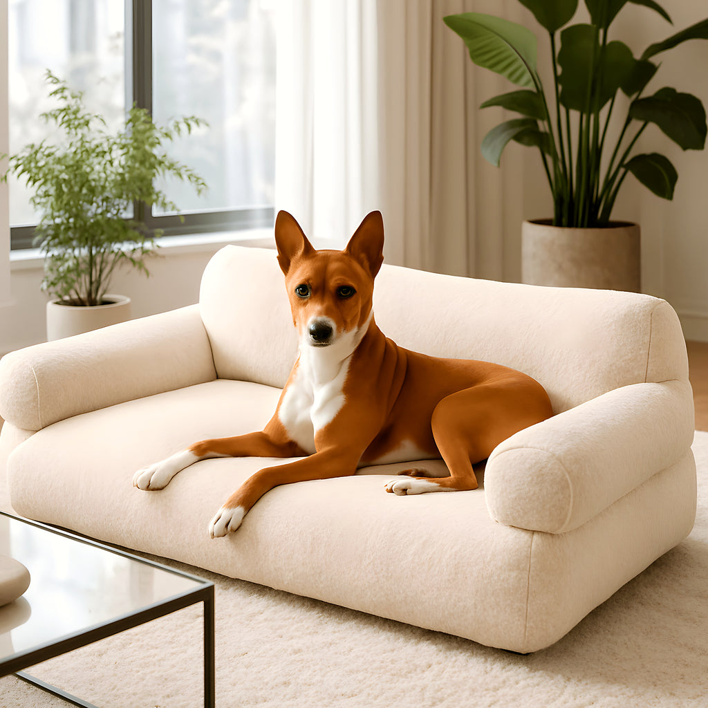 Canapé surélevé en velours blanc ou rose pour chien