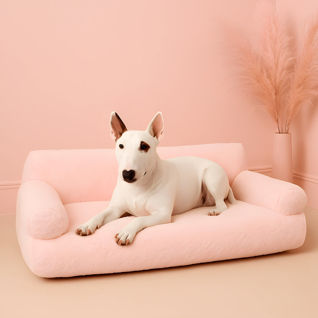Canapé surélevé en velours blanc ou rose pour chien