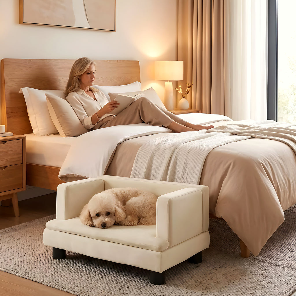 Canapé surélevé en velours pour petit chien