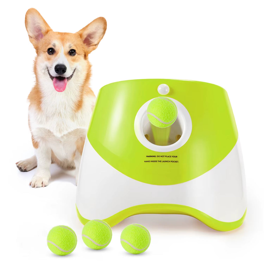 Lanceur De Tennis Automatique Pour Animaux De Compagnie, Jouets Pour Chiens, Jouet De Chasse Pour Chiens, Flipper, Lancer Coule Amusant, Catapulte Aste Avec 3 Balles