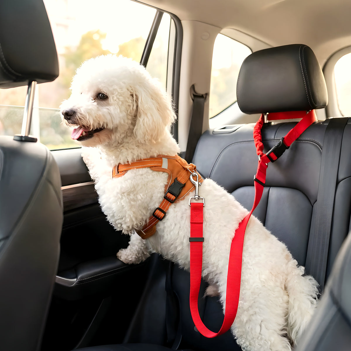 Ceinture de sécurité et laisse extensible 2-en-1 pour chien