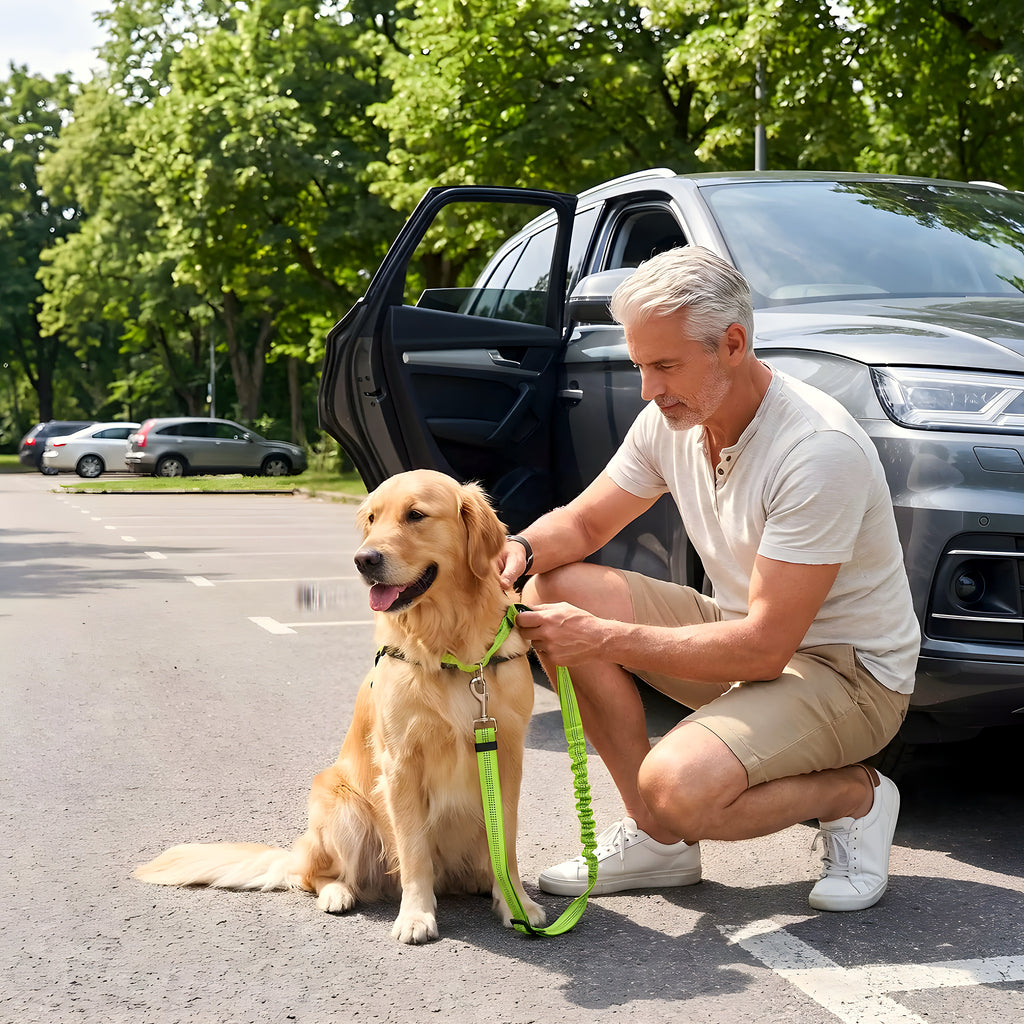 Ceinture de sécurité et laisse extensible 2-en-1 pour chien