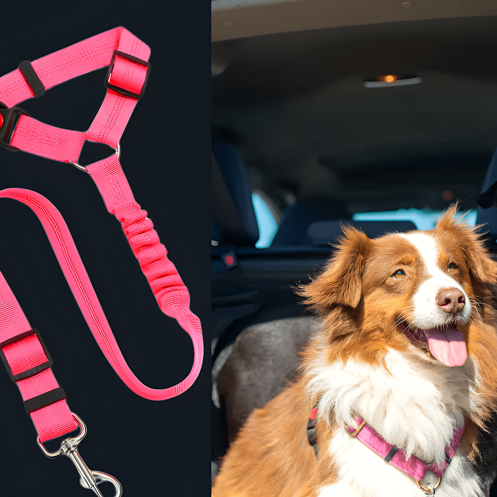 Ceinture de sécurité et laisse extensible 2-en-1 pour chien