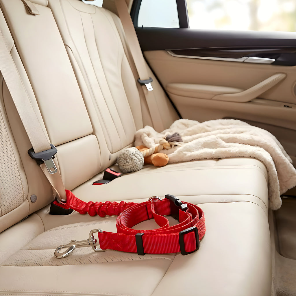 Ceinture de sécurité et laisse extensible 2-en-1 pour chien