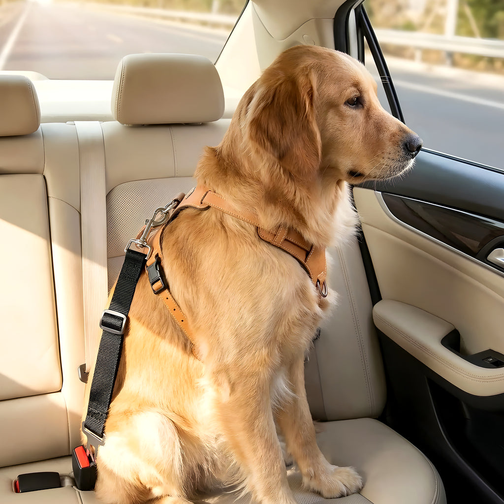 Ceinture de sécurité pour chien avec mousqueton pivotant