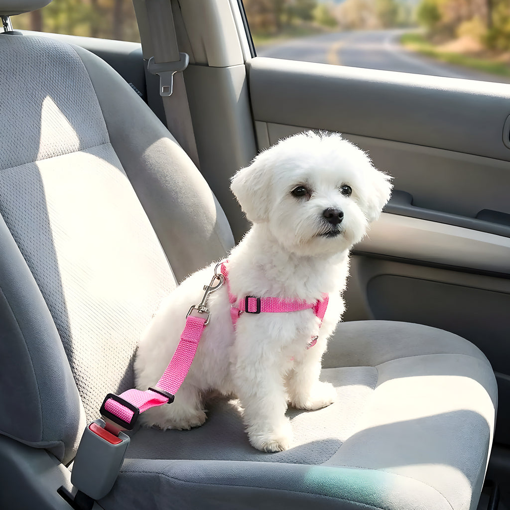 Ceinture de sécurité pour chien avec mousqueton pivotant