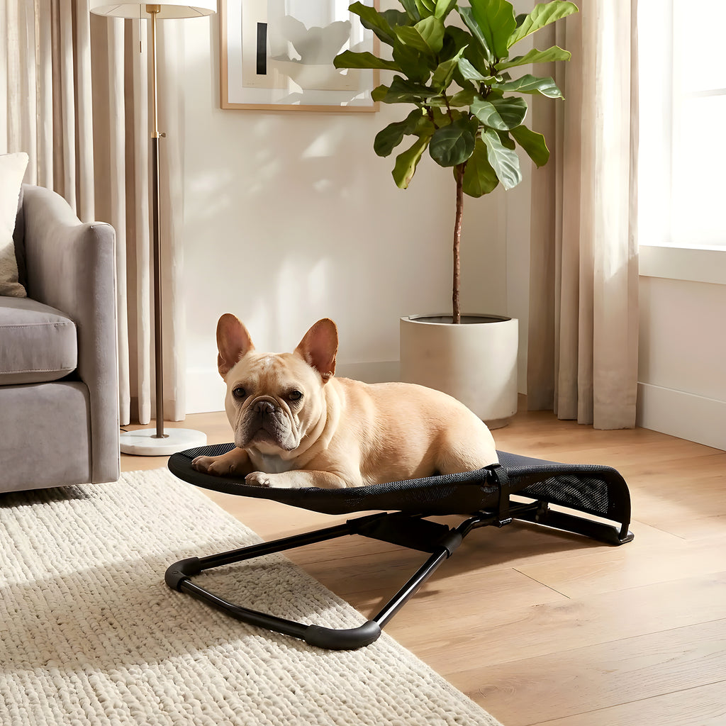 Chaise à bascule pour petit chien, 3 coloris