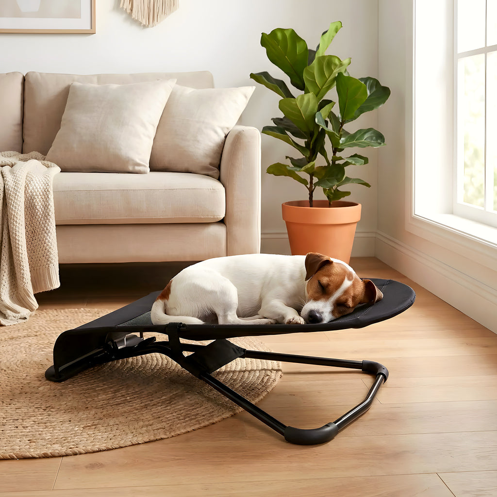 Chaise à bascule pour petit chien, 3 coloris