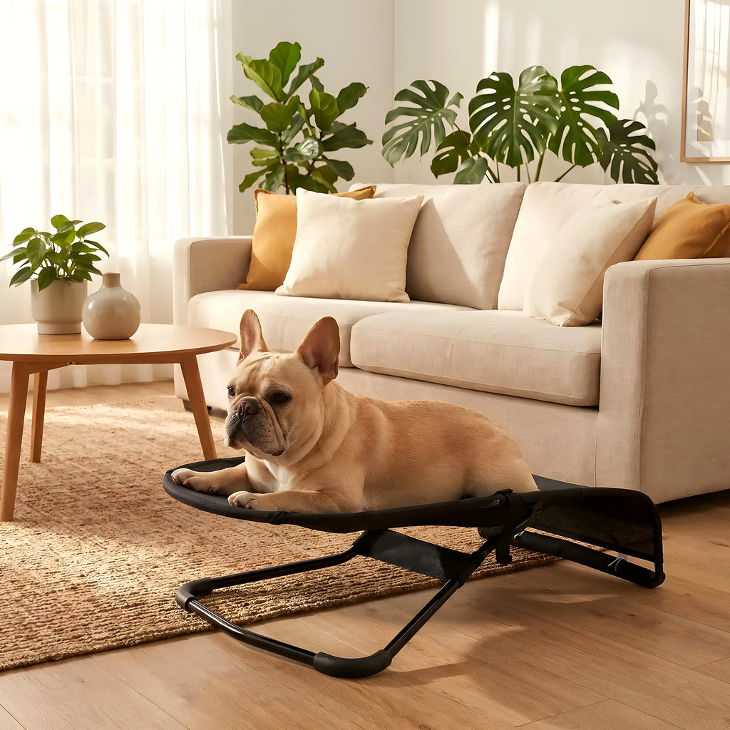 Chaise à bascule pour petit chien, 3 coloris