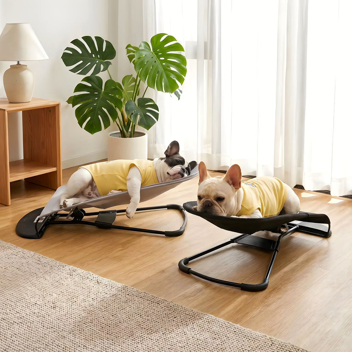 Chaise à bascule pour petit chien, 3 coloris