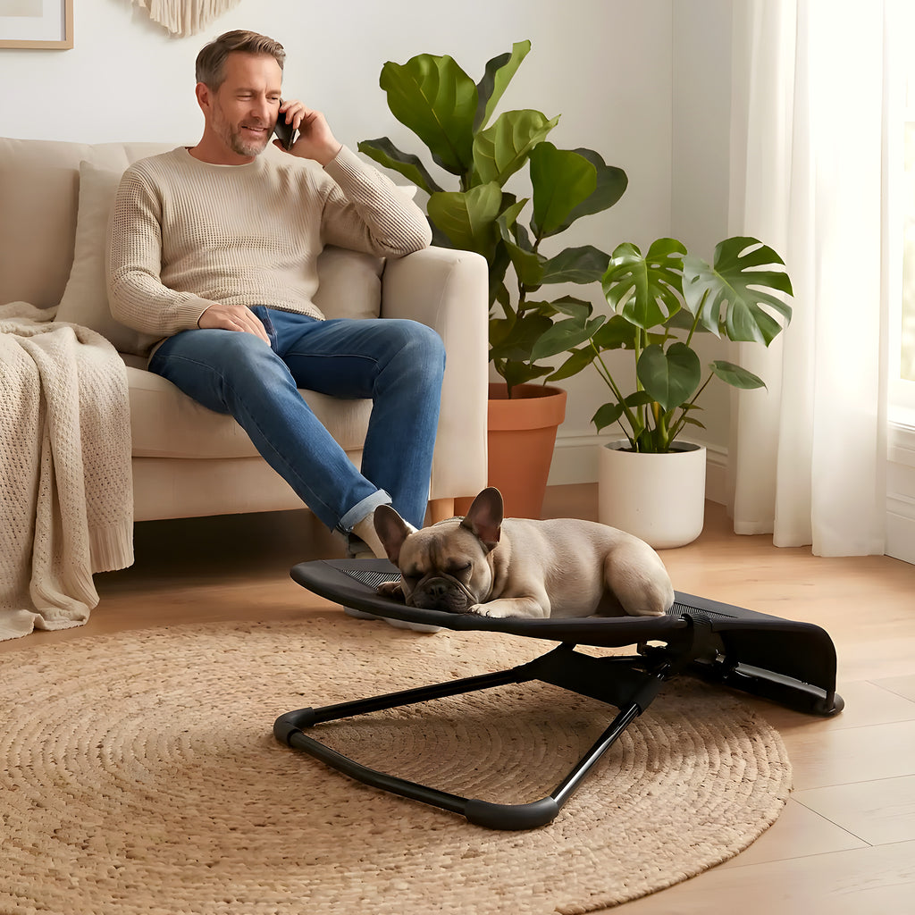 Chaise à bascule pour petit chien, 3 coloris