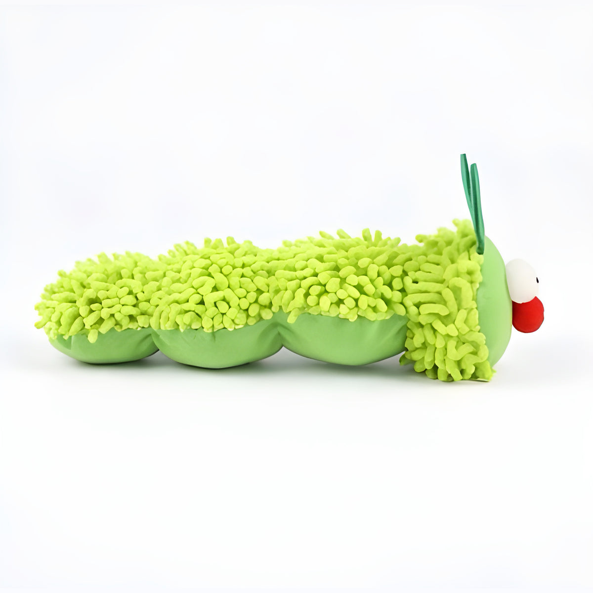 Chenille à l'herbe à chat