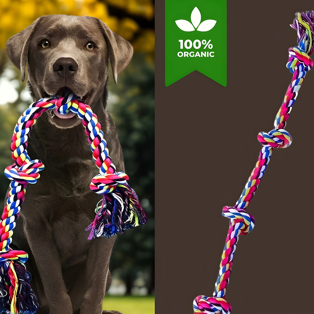Corde à nœuds en coton pour chien, à l'unité ou par 2