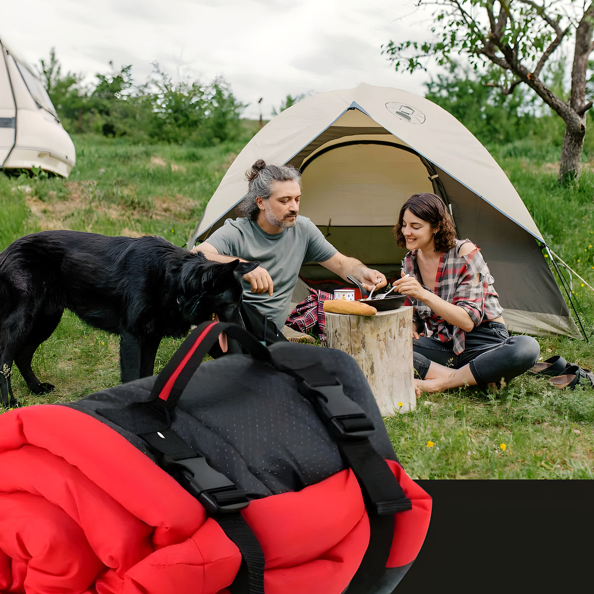Couchage pliable imperméable 90 x 60 cm pour chien