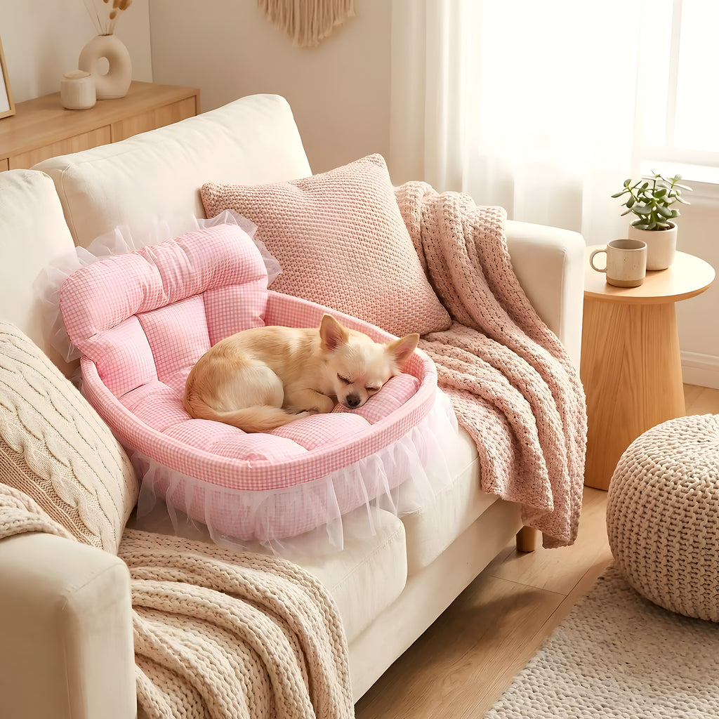 Couffin en dentelle pour chihuahua, 4 coloris