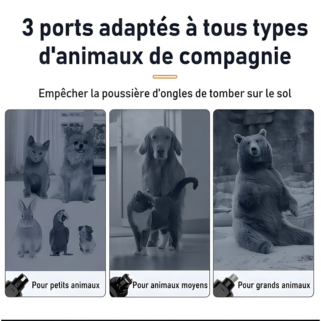 Coupe-griffes électrique double LED