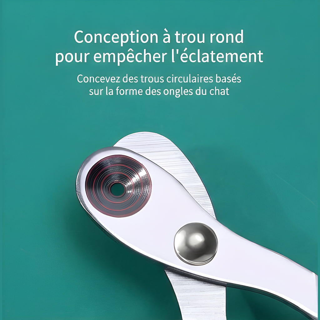 Coupe-griffes pour chaton
