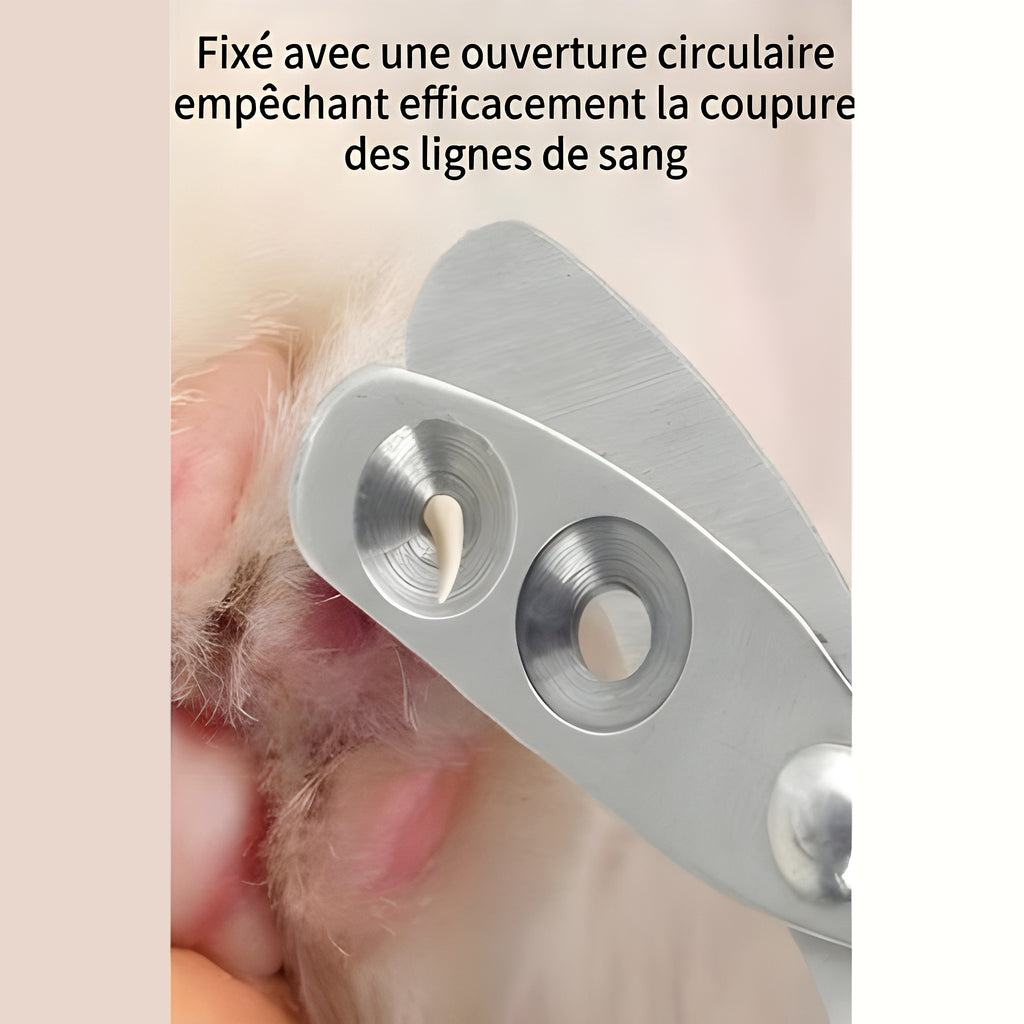 Coupe-griffes pour chaton