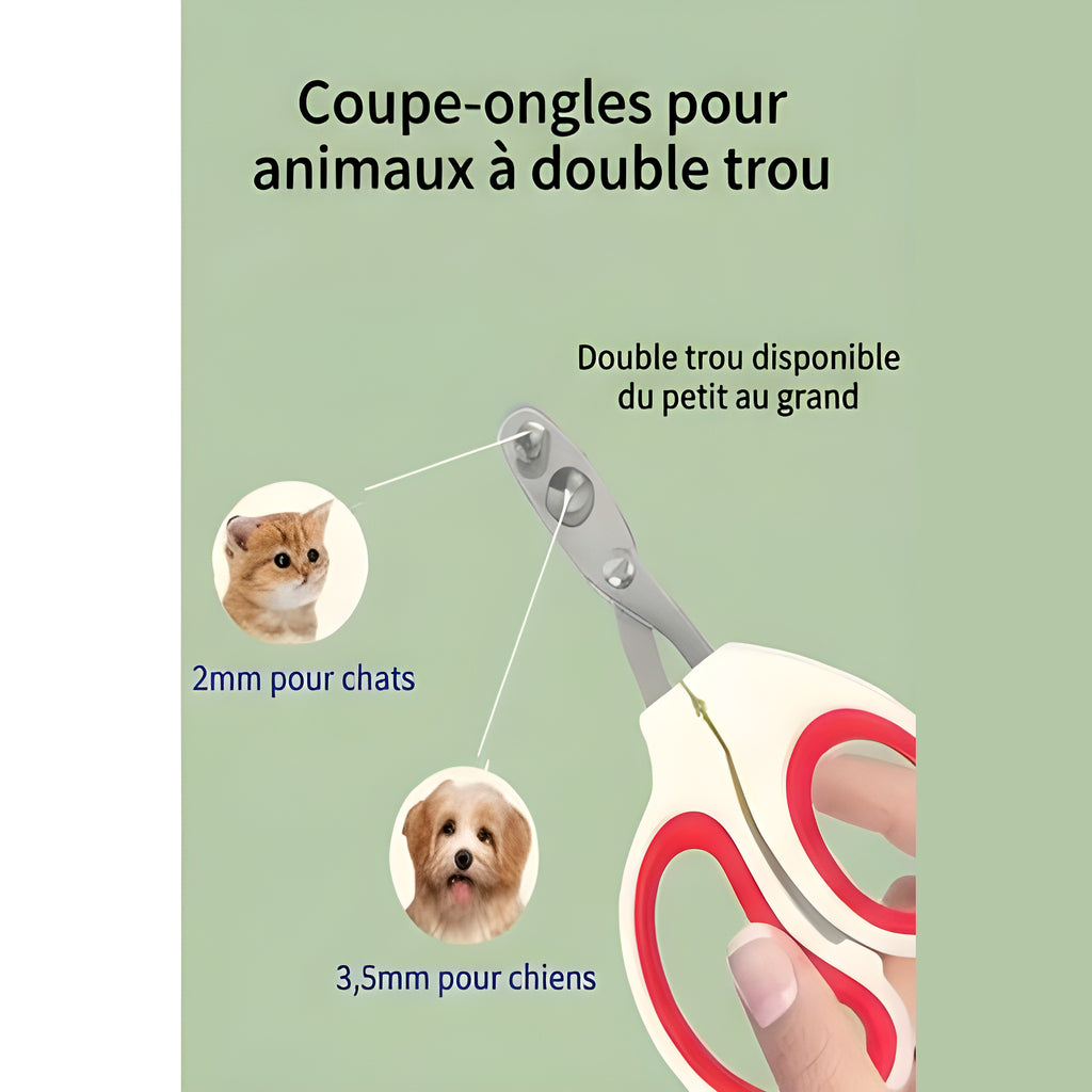 Coupe-griffes pour chaton
