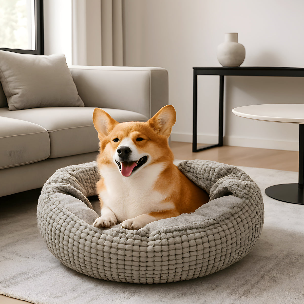 Coussin anti-stress 2-en-1 avec capuche pour chien