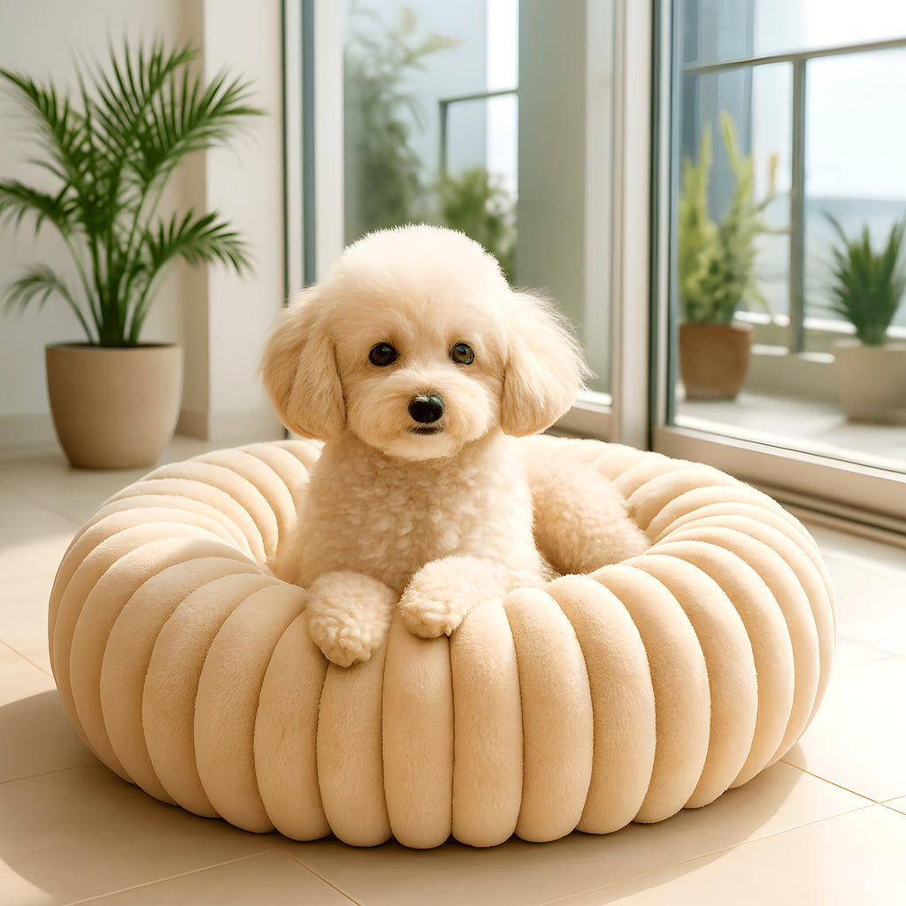 Coussin anti-stress carré en velours pour petit chien