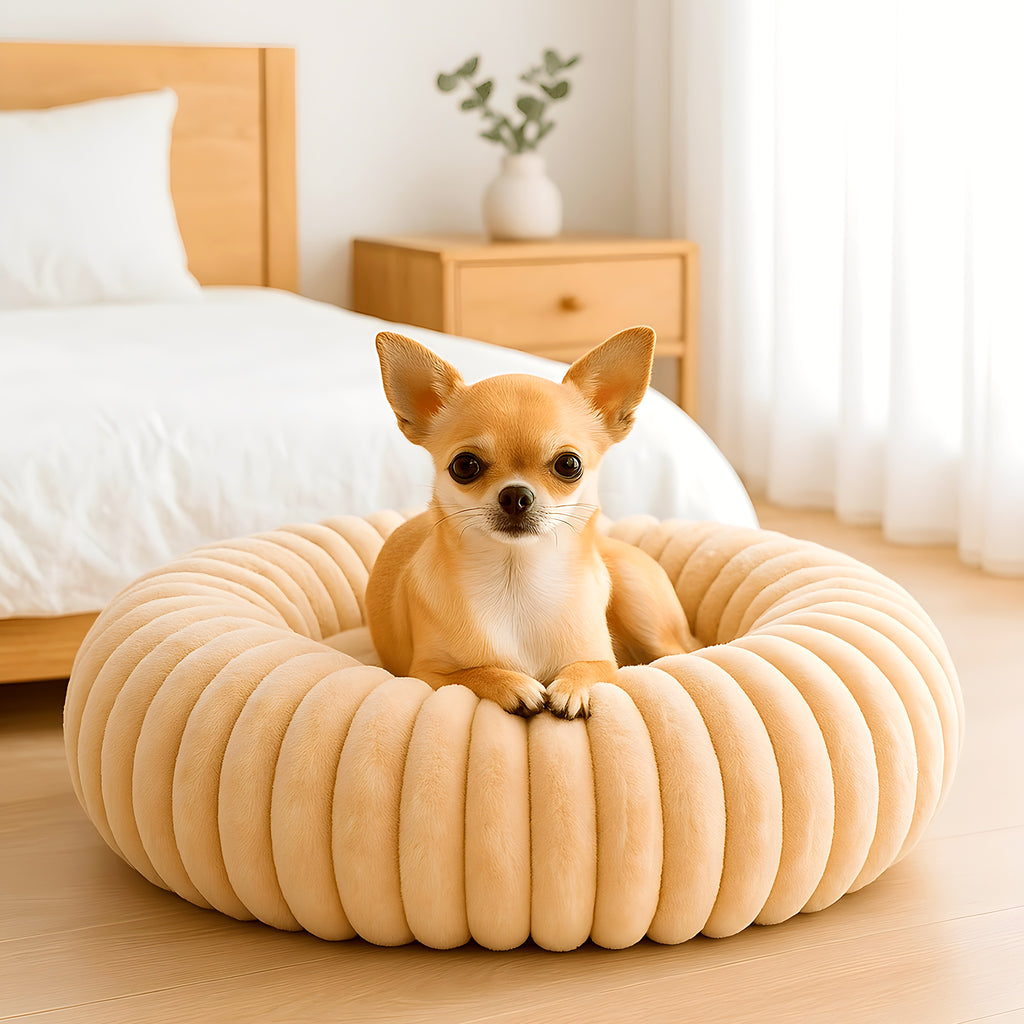 Coussin anti-stress carré en velours pour petit chien