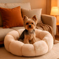 Coussin anti-stress en forme de pétale pour petit chien