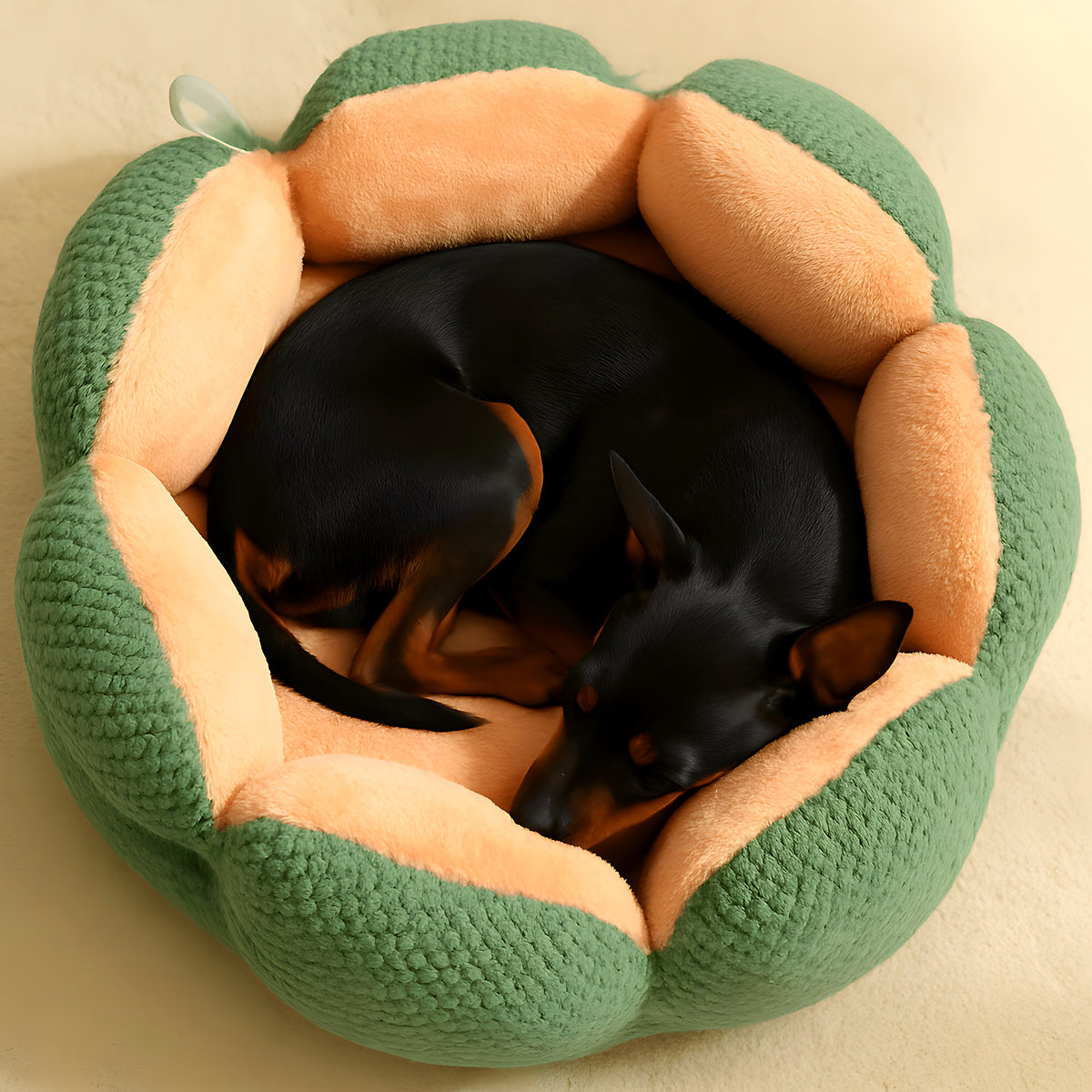 Coussin anti-stress en forme de pétales pour petit chien
