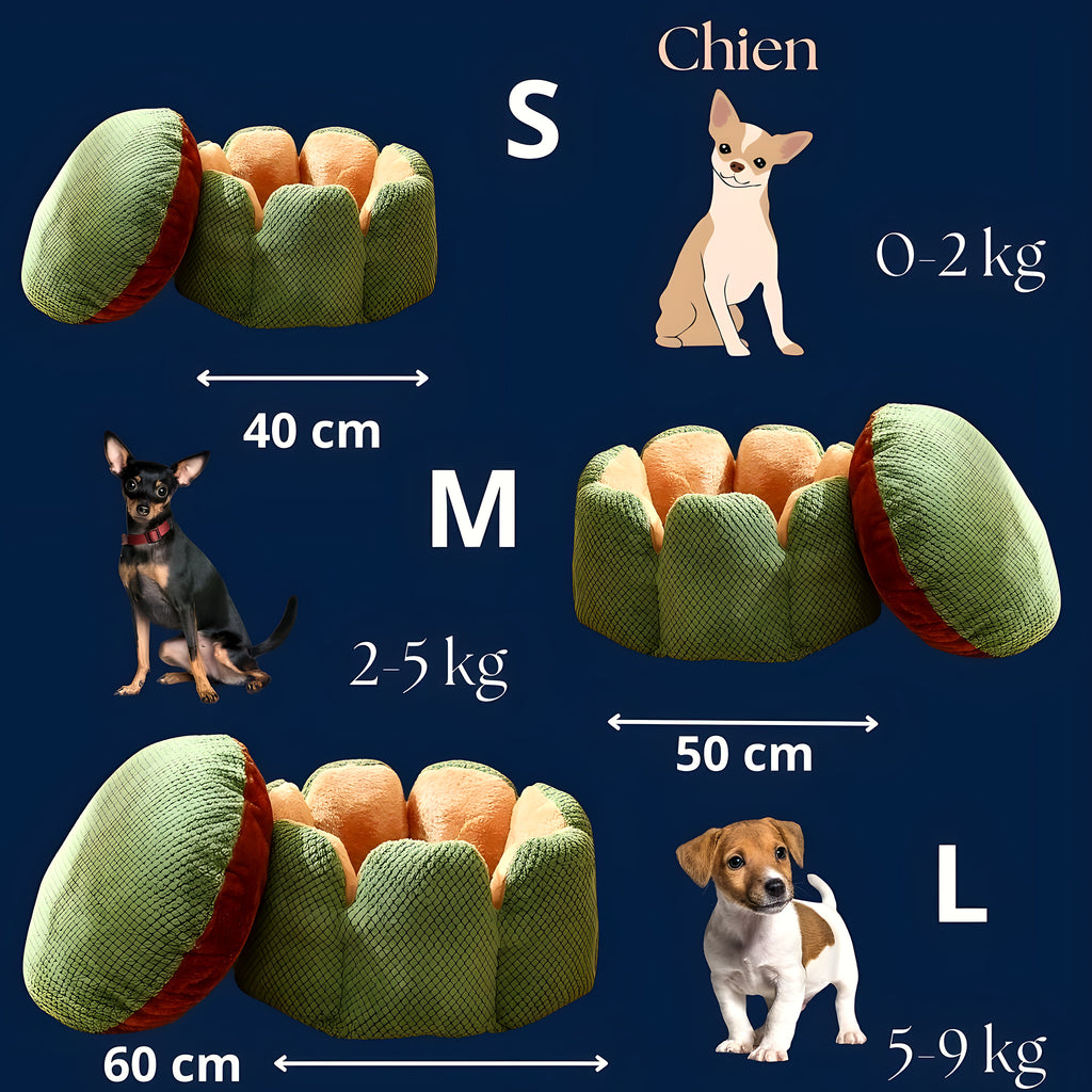 Coussin anti-stress en forme de pétales pour petit chien