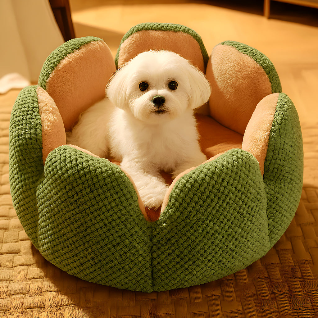 Coussin anti-stress en forme de pétales pour petit chien