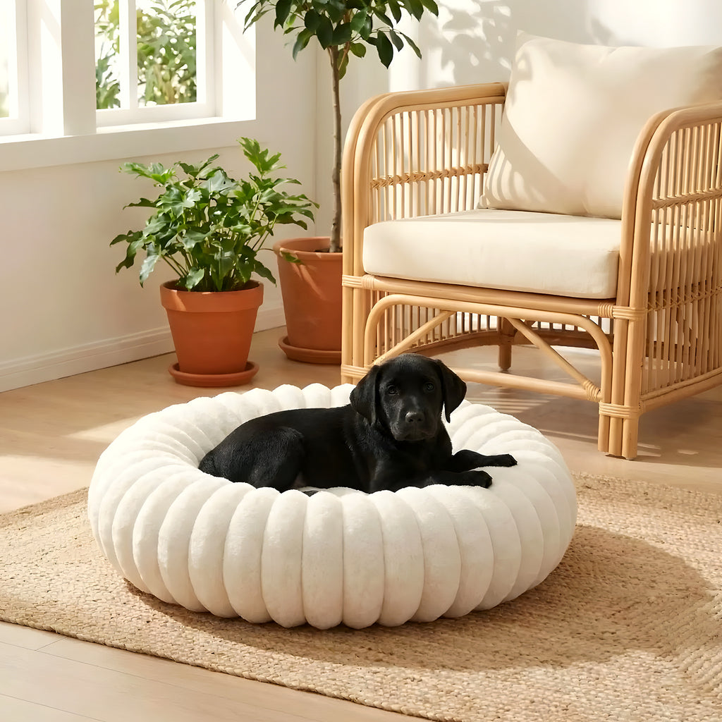 Coussin anti-stress rond en velours, 5 tailles