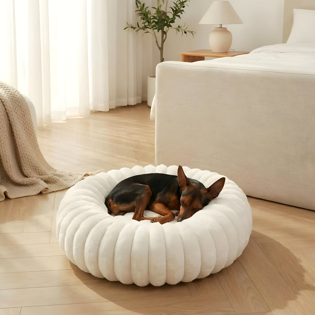 Coussin anti-stress rond en velours, 5 tailles
