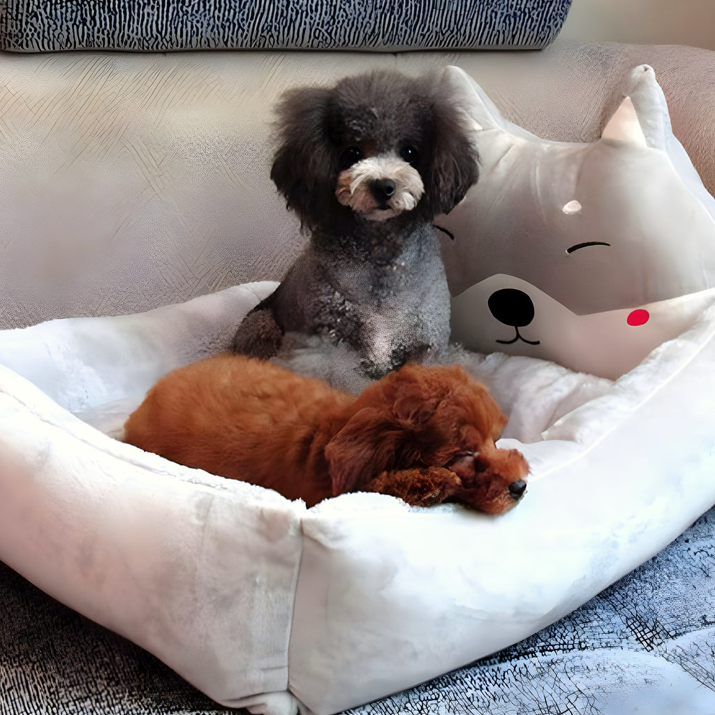 Coussin avec appui-tête pour petit chien jusqu'à 8 kg