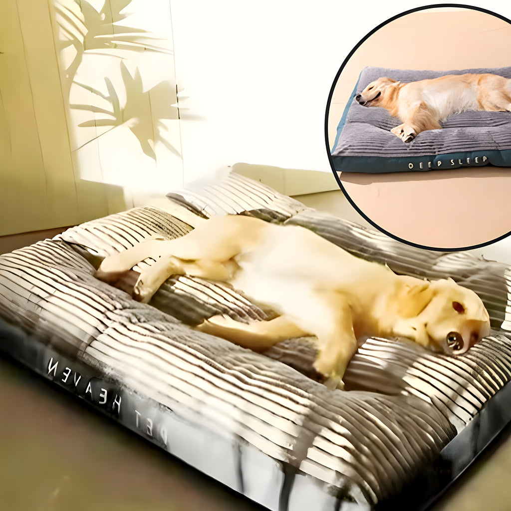 Coussin déhoussable en velours côtelé pour chien, M à XXL