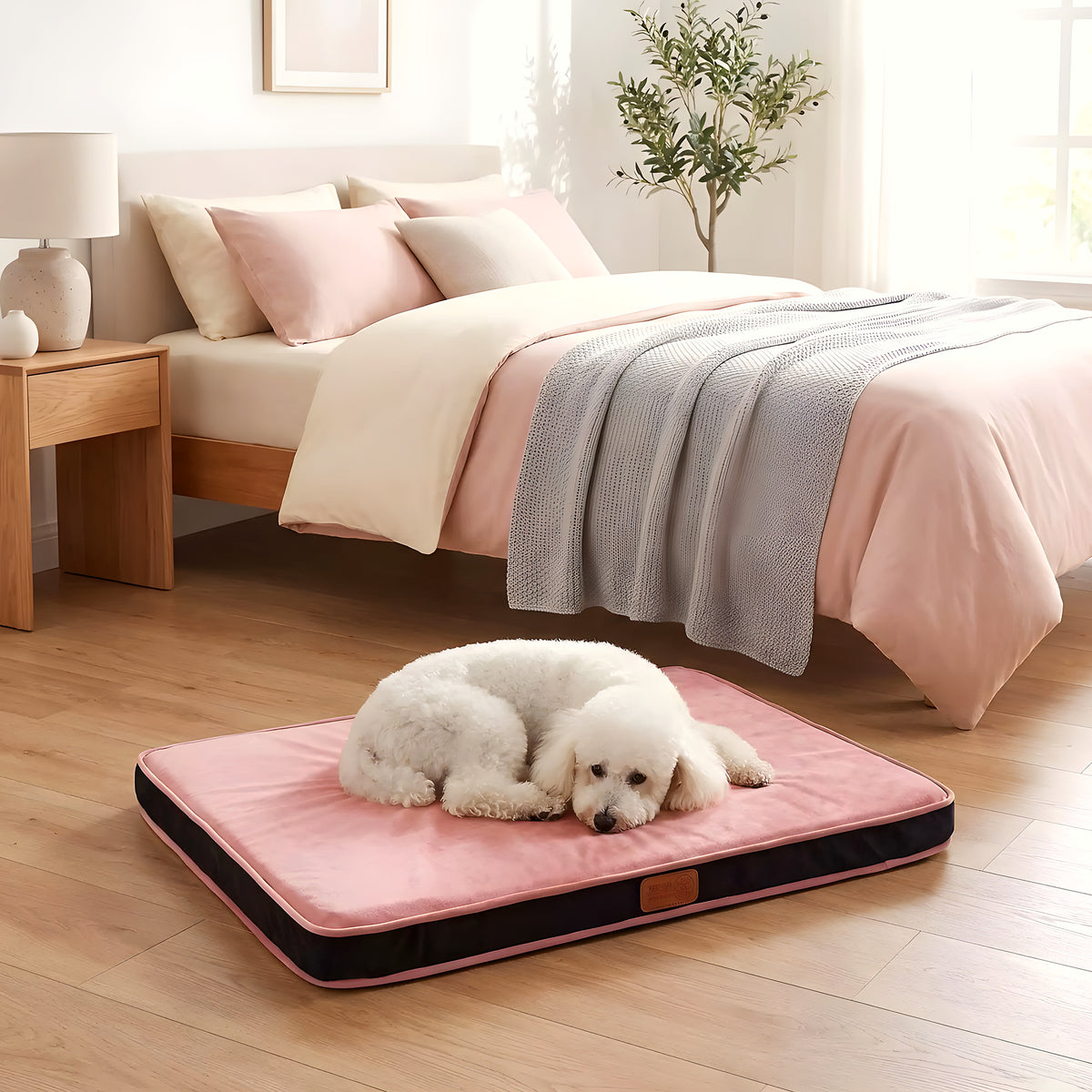 Coussin déhoussable en velours pour chien, 3 coloris