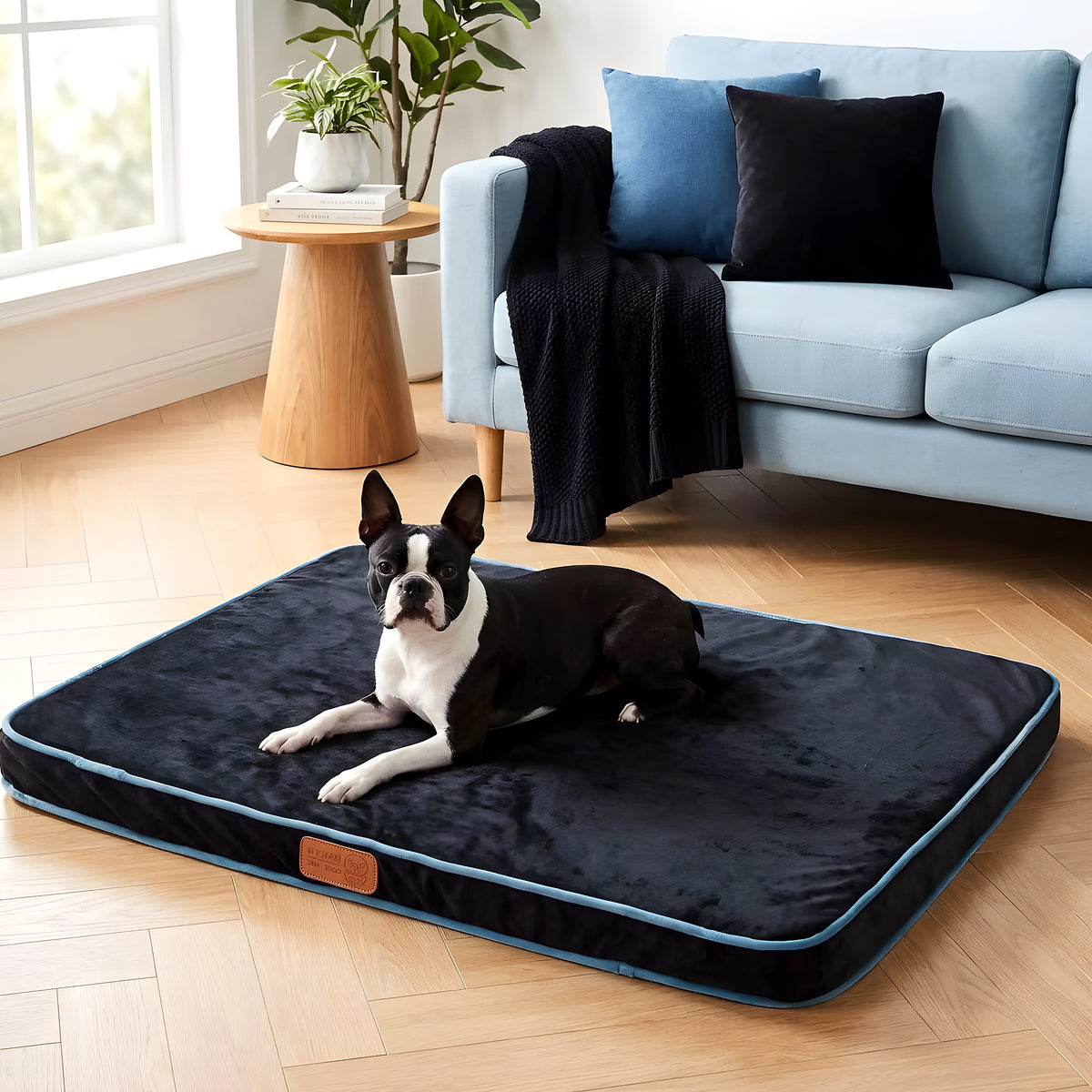Coussin déhoussable en velours pour chien, 3 coloris