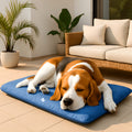 Coussin imperméable personnalisable pour chien