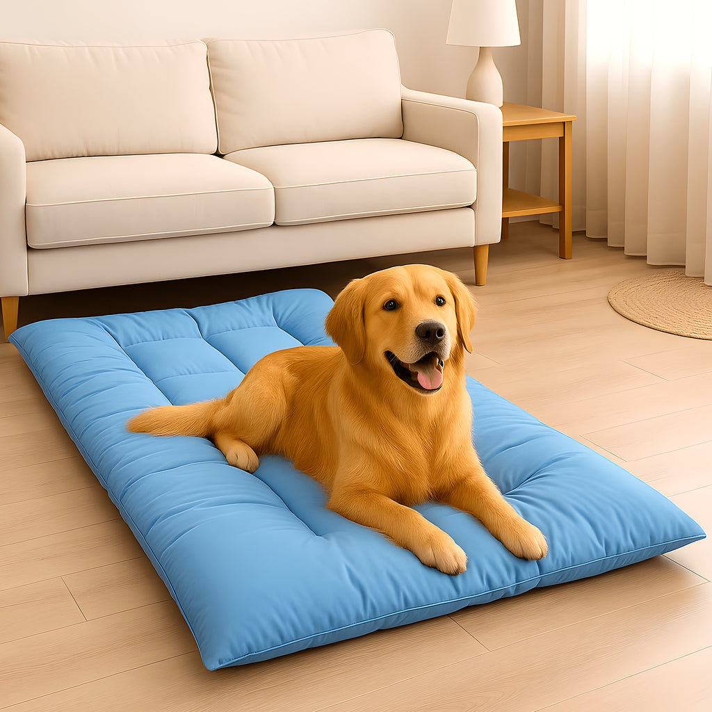 Coussin matelas rafraîchissant stable pour chien, L ou XL