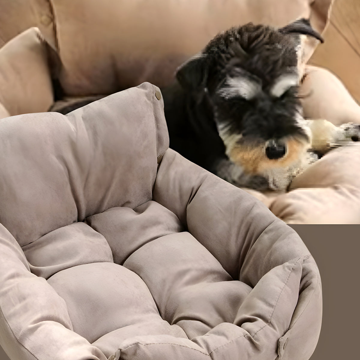 Coussin modulable apaisant pour chien, S ou M