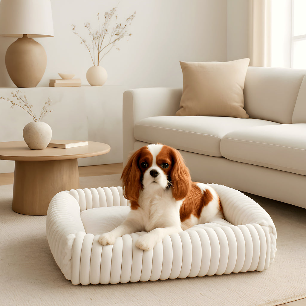 Coussin nid en velours pour chien, 5 coloris, 4 tailles