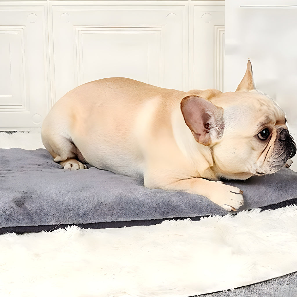 Coussin nuage pliable déhoussable pour chien, S ou M
