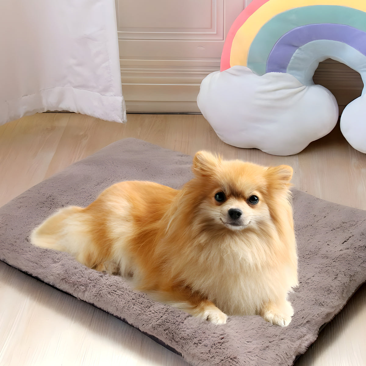 Coussin nuage pliable déhoussable pour chien, S ou M