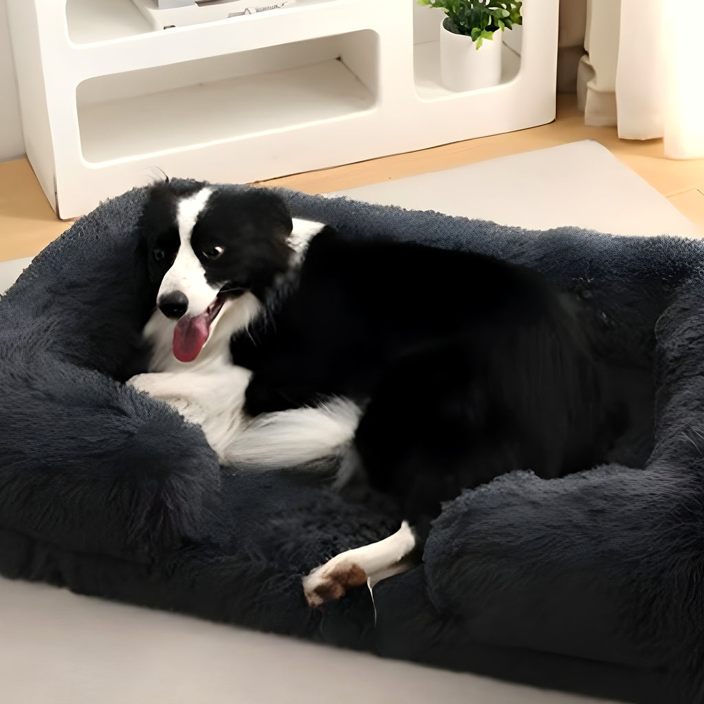 Coussin orthopédique à housse amovible pour chien, S à L