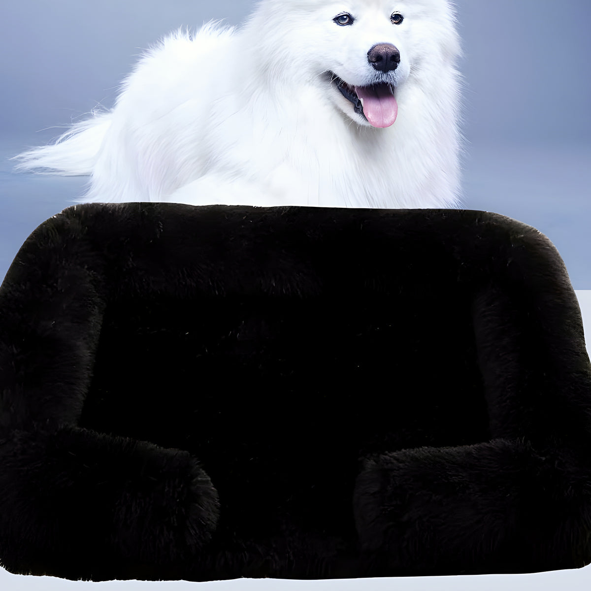 Coussin orthopédique à housse amovible pour chien, S à L