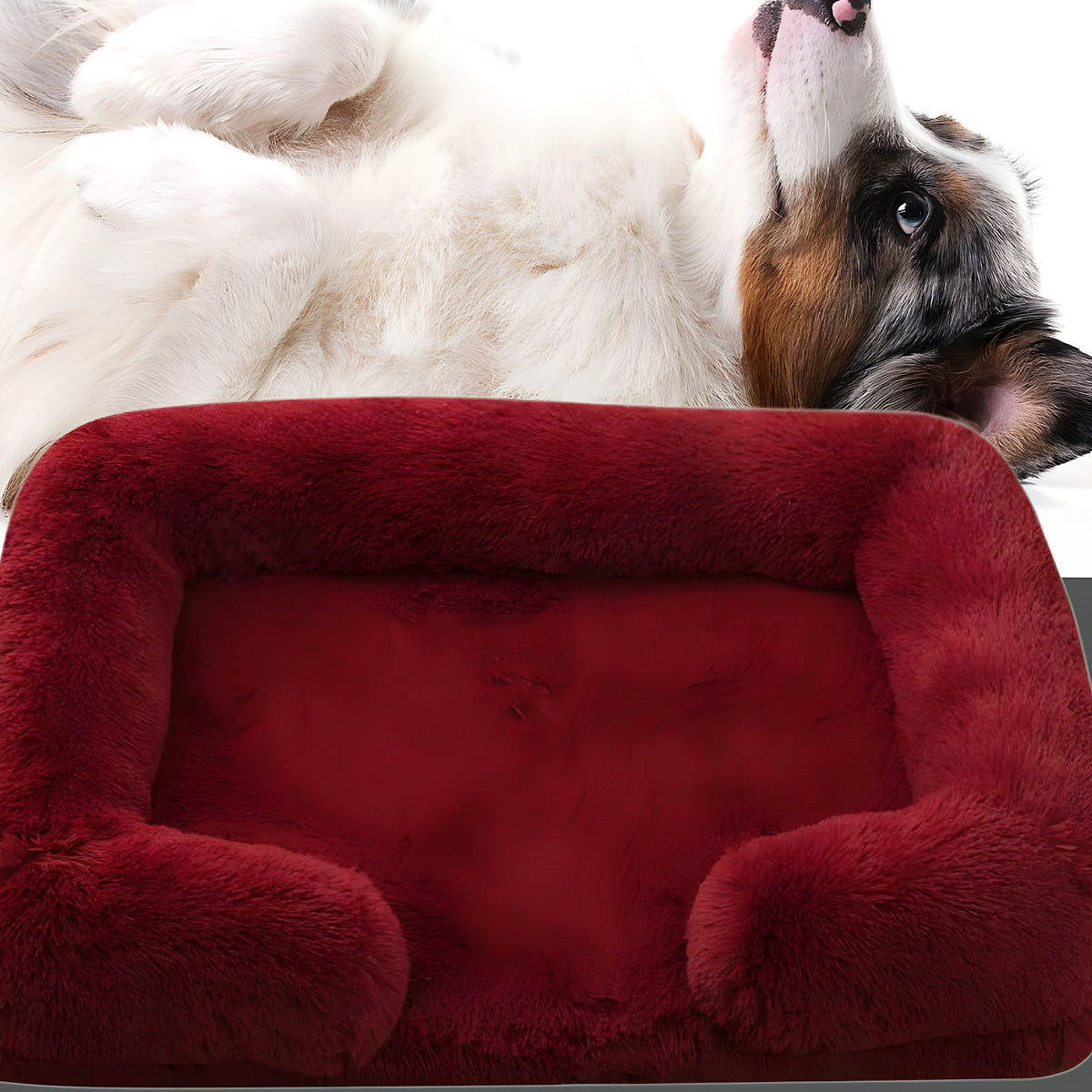 Coussin orthopédique à housse amovible pour chien, S à L