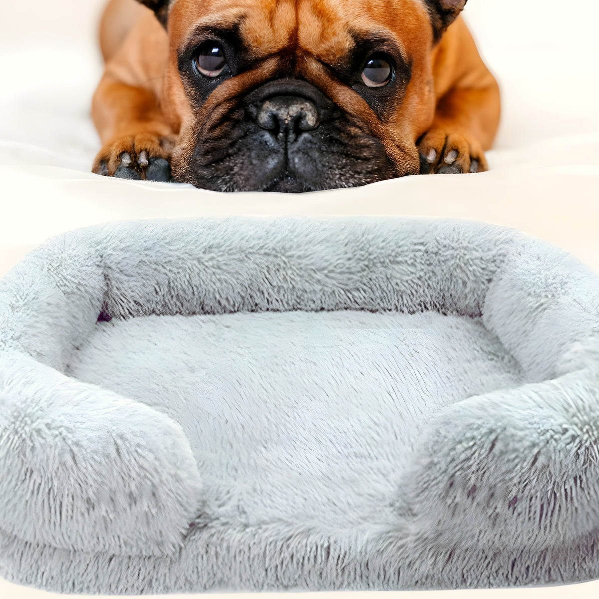 Coussin orthopédique à housse amovible pour chien, S à L