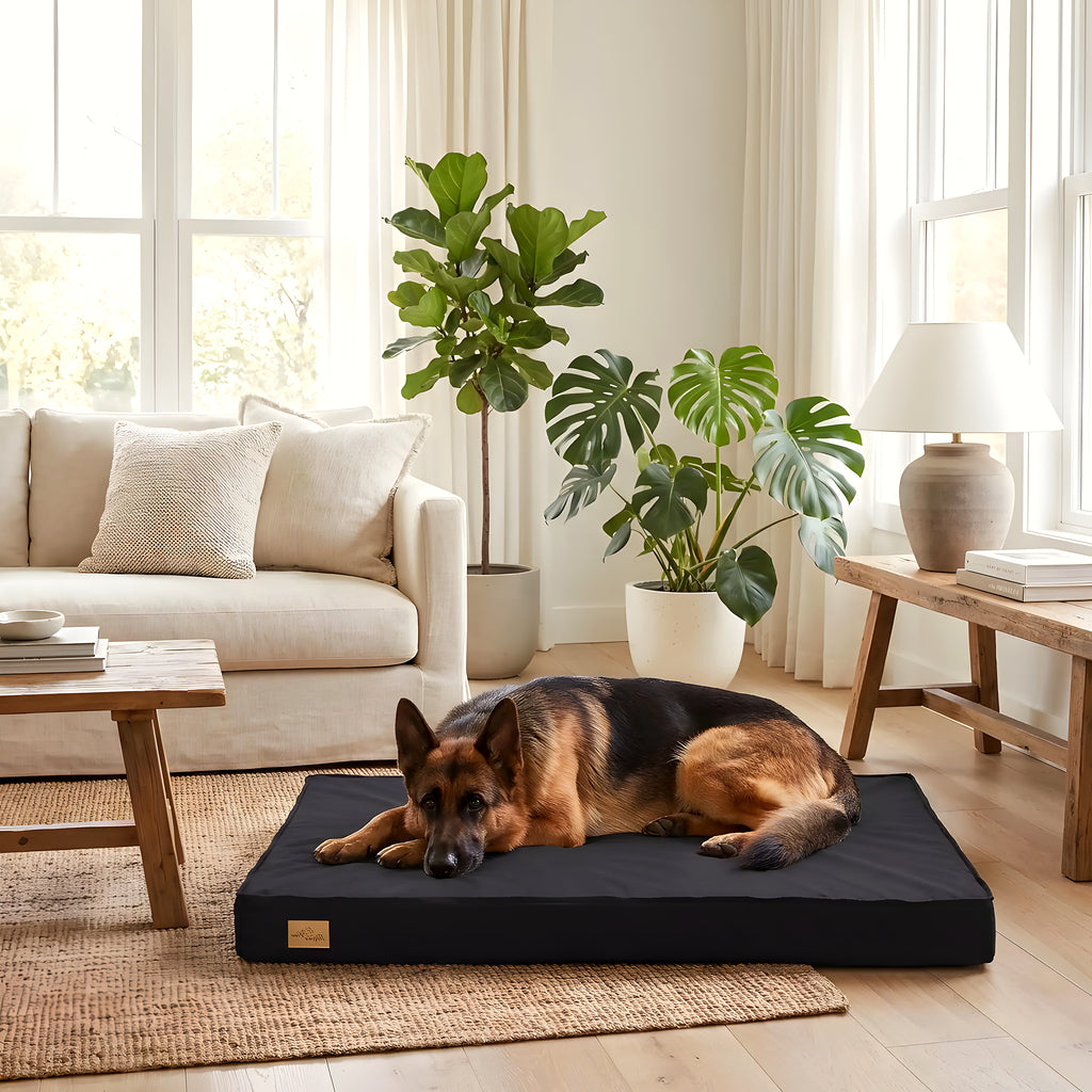 Coussin orthopédique à mémoire de forme avec couverture en peluche