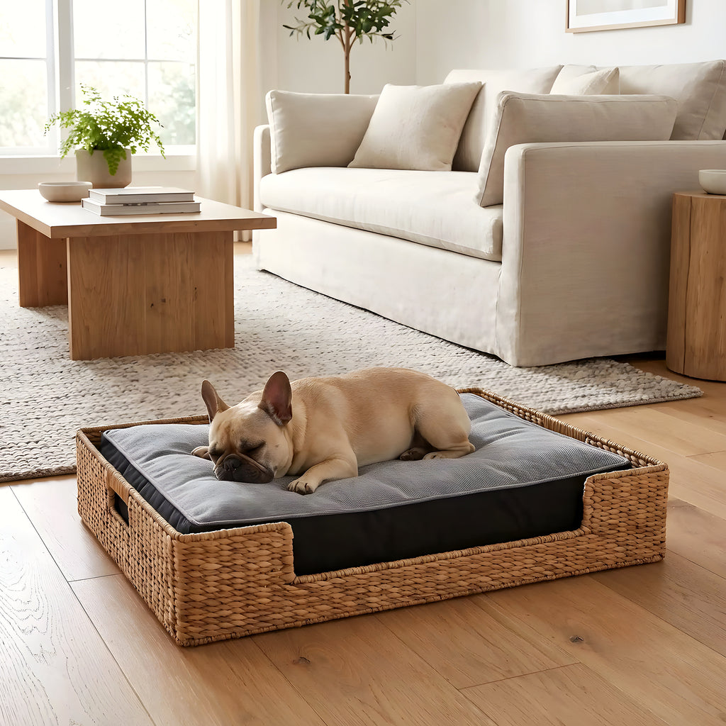 Coussin orthopédique à mémoire de forme avec couverture en peluche