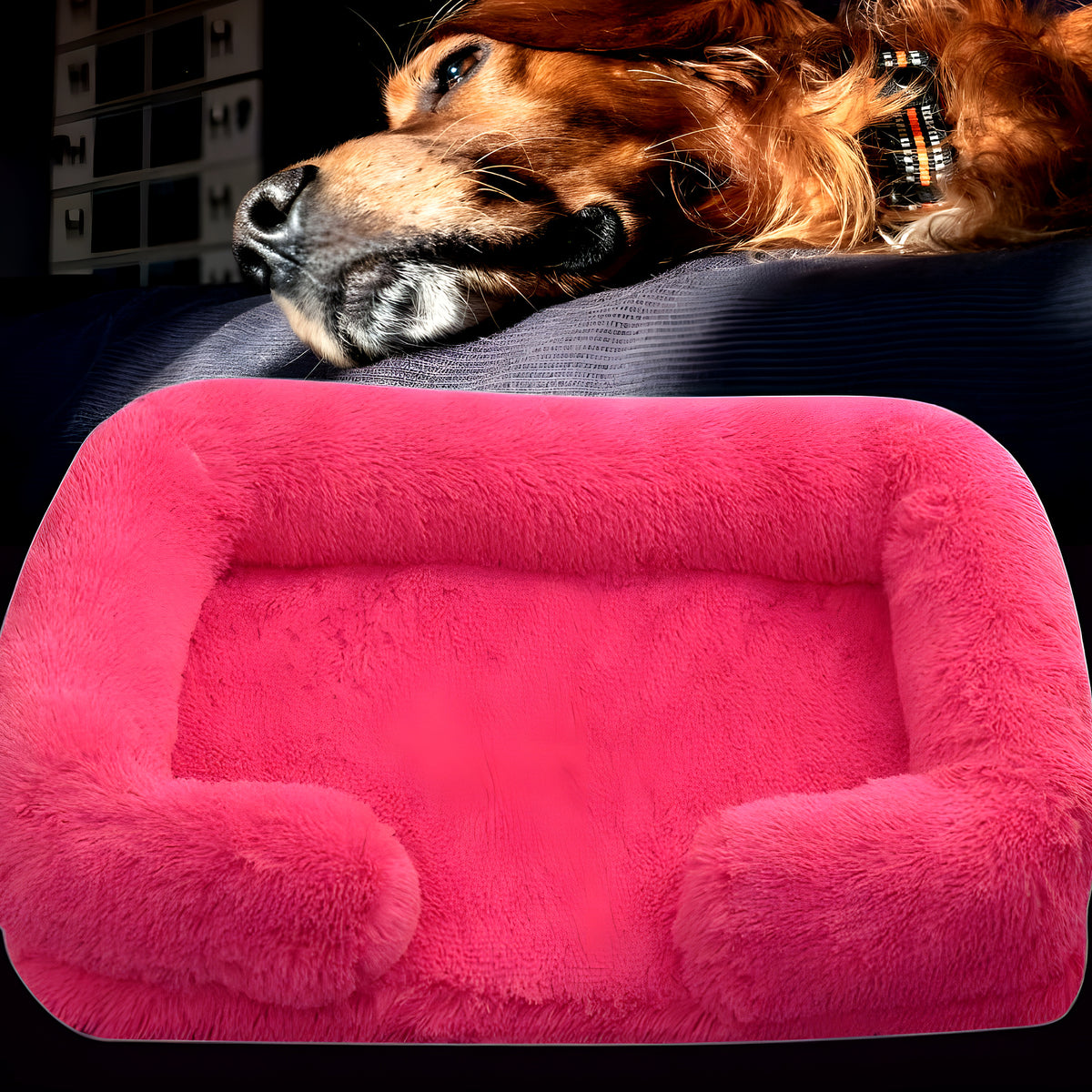 Coussin orthopédique à mémoire de forme imperméable, S à XL