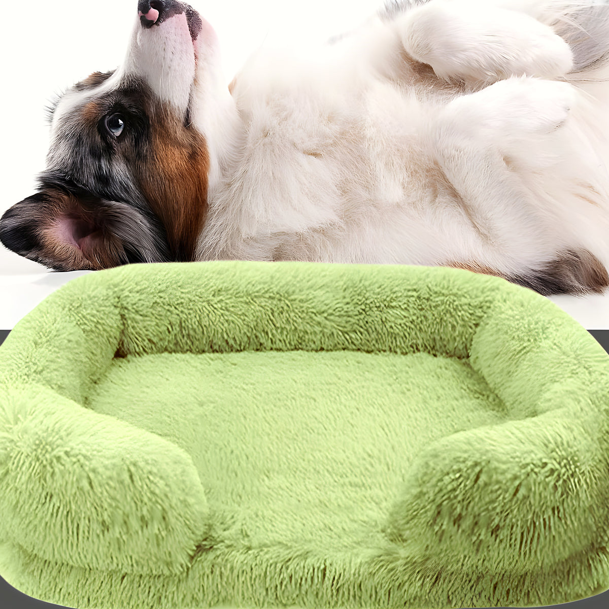 Coussin orthopédique à mémoire de forme imperméable, S à XL